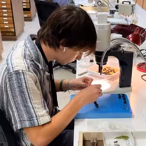 Kennon working in the lab